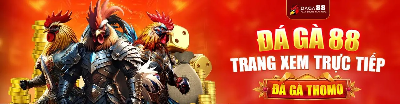 Đá Gà Trực Tuyến Sống Động tại winvn88